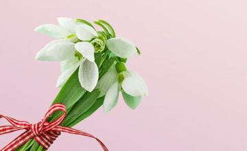 Banner 1