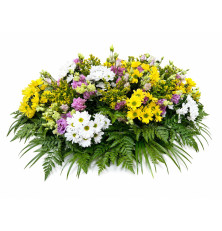 Ikebana Elena-mix farieb