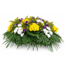 Ikebana Elena-mix farieb