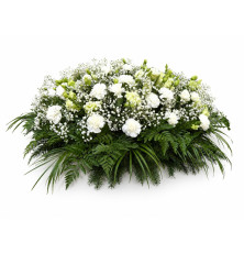 Ikebana Júlia-biela