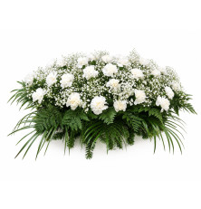 Ikebana Natália-biela