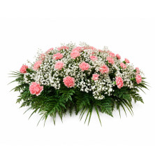 Ikebana Natália-ružová