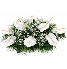 Ikebana Renáta-biela