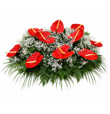 Ikebana Renáta-červená