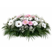 Ikebana Sabina-ružovo-biela