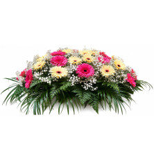 Ikebana Sabina-ružovo-krémová