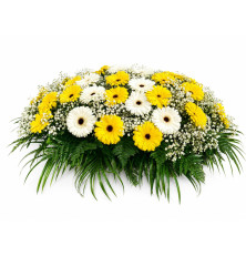 Ikebana Sabina-žlto-biela