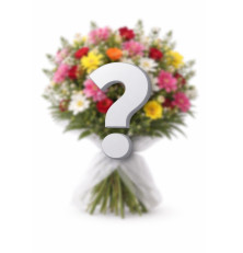 Kytica podľa floristky